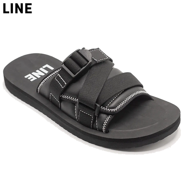 Line 1.0 Slide - 2026