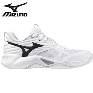 Mizuno Wave Momentum 4 Pro Men's Volleyball Shoe