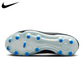 Nike Tiempo Legend 10 Academy FG Jr. DV4348-040