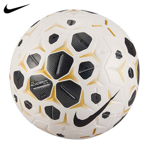 Nike Academy Elite Soccer Ball