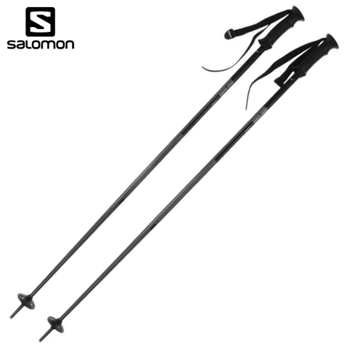 Salomon Arctic Poles