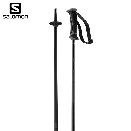 Salomon Arctic Poles Ladies