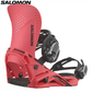 Salomon Hologram 2026