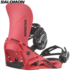 Salomon Hologram 2026
