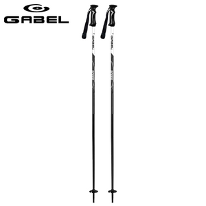 Gabel Speed